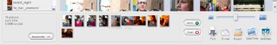 Screenshot of Picasa Picture Tray